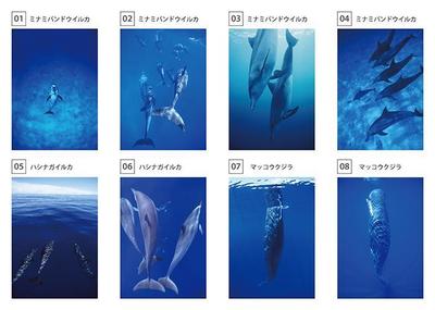 宇津孝の写真　絵はがき制作用サムネイル　1