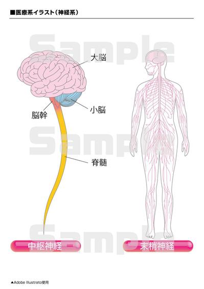 医療系イラスト