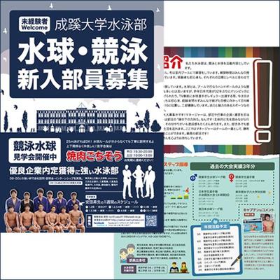 【成蹊大学】新入部員募集チラシ