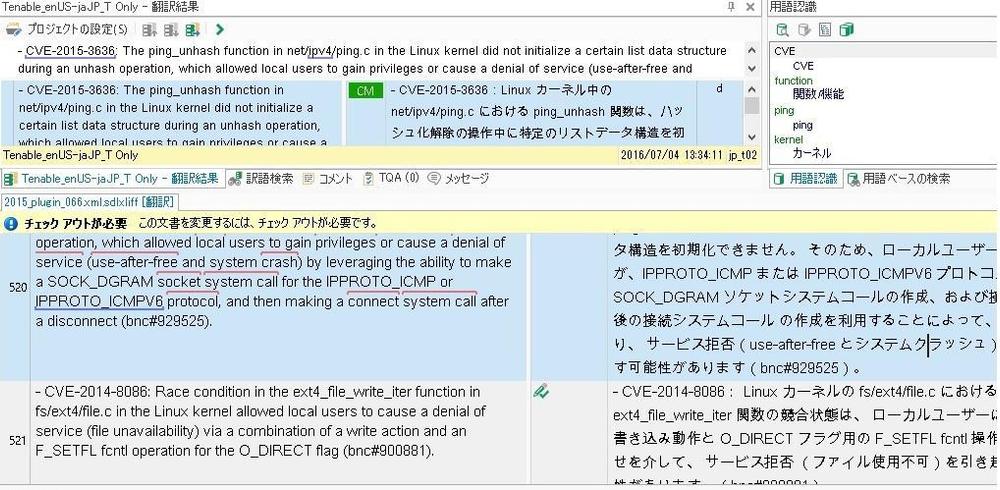 セキュリティ関係の翻訳（英日）