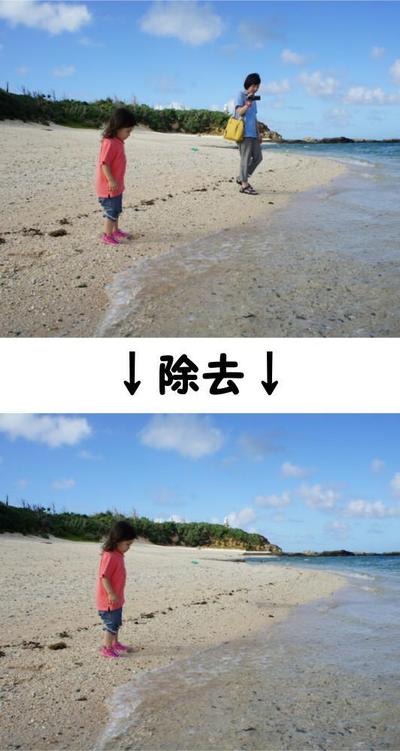 除去①