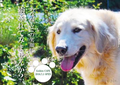 犬カフェのオープンチラシ