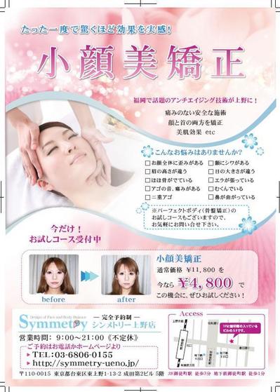 シンメトリー　チラシ
