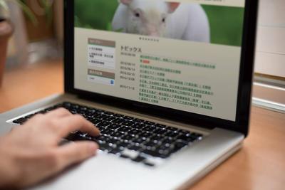 「一般社団法人 全日本畜産経営者協会」様のWebサイトデザイン（WordPress）