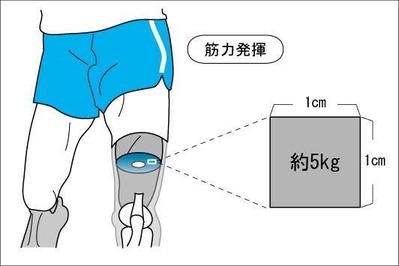 科学本の挿絵