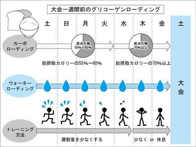 科学本の挿絵