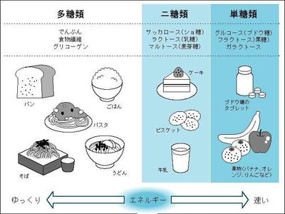 科学本の挿絵