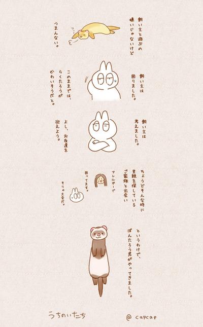 飼っているペットのショート漫画