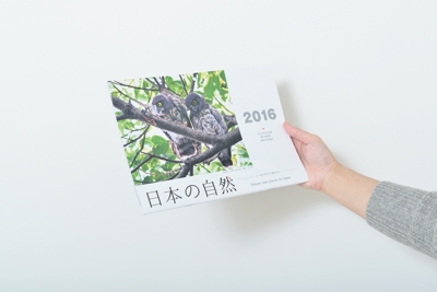 「日本の自然」カレンダー