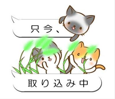 たくねこ