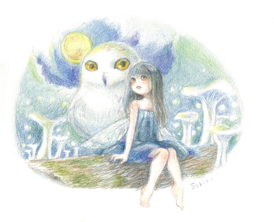 フクロウと妖精【夜】