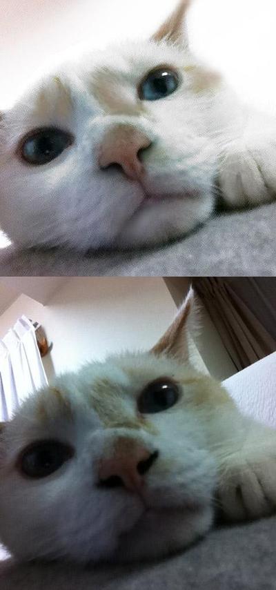 写真加工