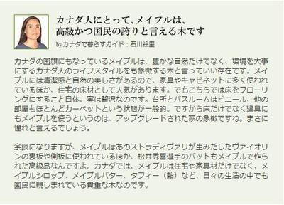 専門家として解説記事を寄稿