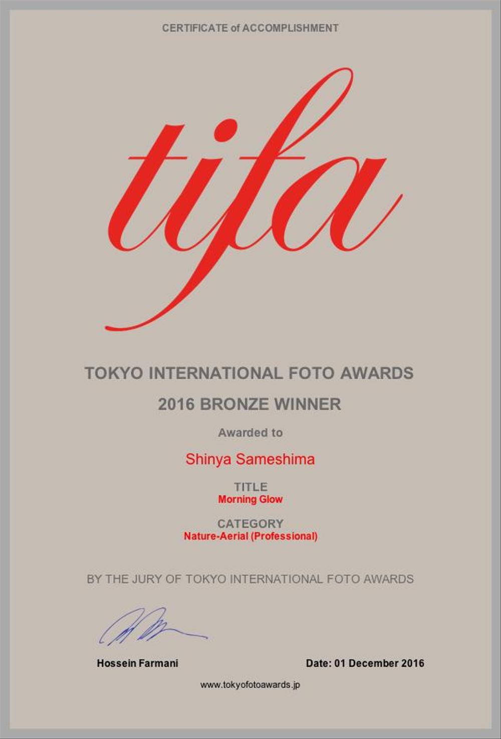 2016 TIFA Bronze 証明書