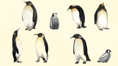 ペンギン集団