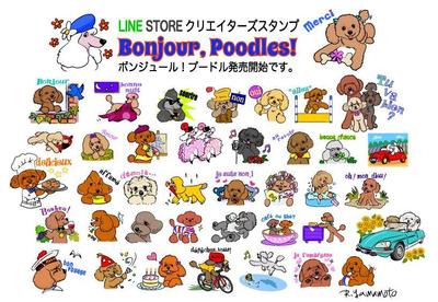 プードルのLINEスタンプ