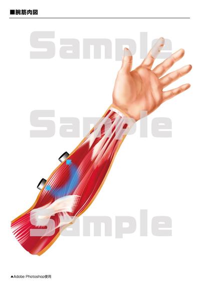 医療系イラスト