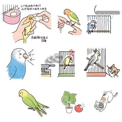 ナツメ書房「かわいいインコの飼い方」