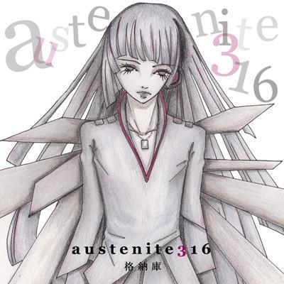 austenite316