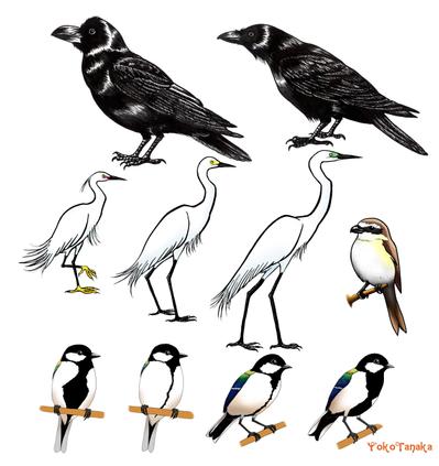 鳥シリーズ