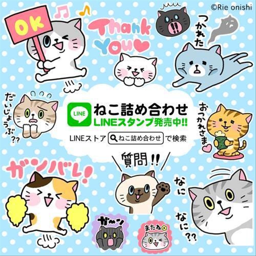 ねこ詰め合わせ