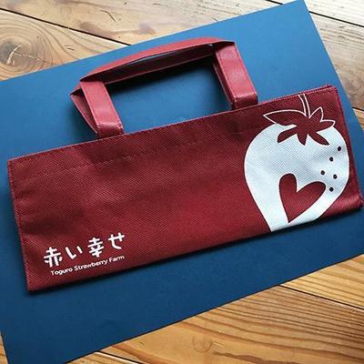 いちごパックを入れるバッグの制作