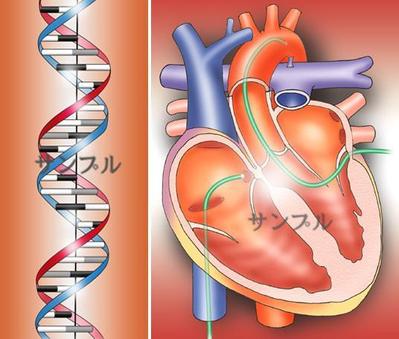 医療系イラスト11-13