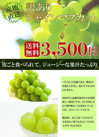 ランサーズ用_簡易LP