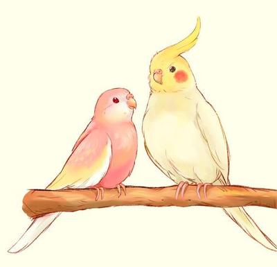 鳥のイラスト