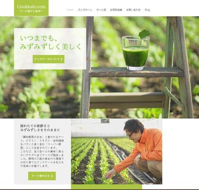新開発ケールのＰＲサイトの新規制作