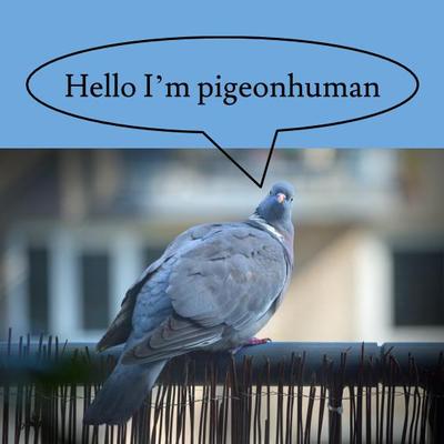 Hello I&amp;amp;#039;m pigeonhuman