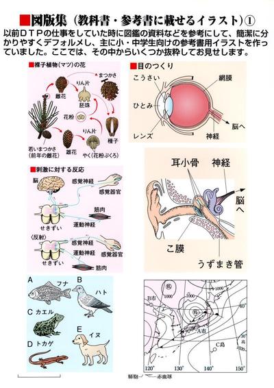 教科書用の図版