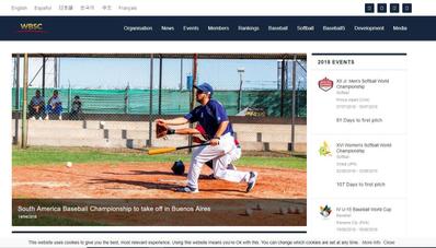 BaseBall Web Design and Development