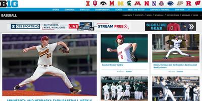BaseBall Web Design and Development