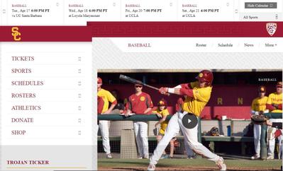 Beautiful website for baseball