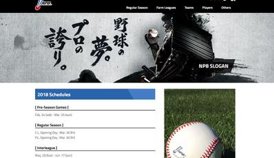 BaseBall Web Design and Development