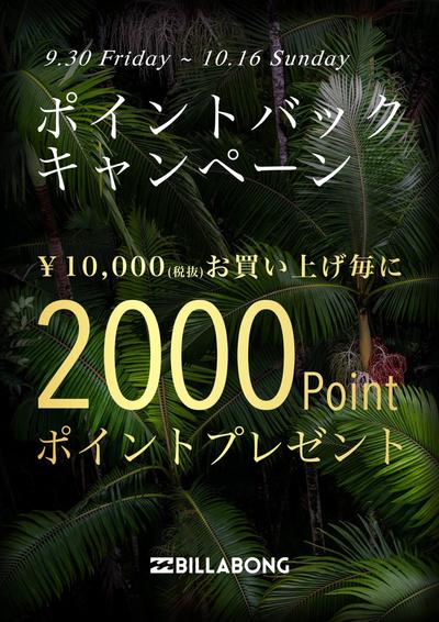 BILLABONG STORE POP
