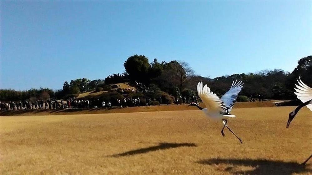 地方創生リカレント教育