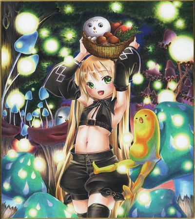 きのこの森