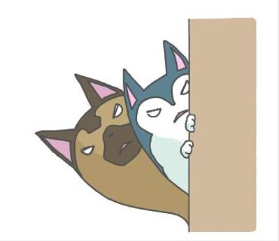 のぞき見