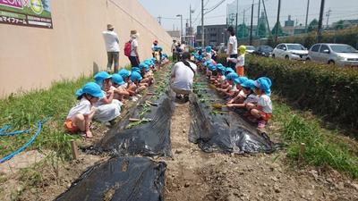 幼稚園のイベント対応