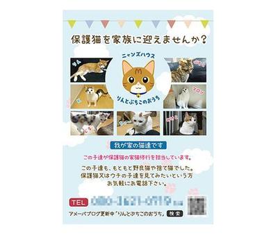 保護猫チラシ