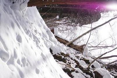 雪の風景