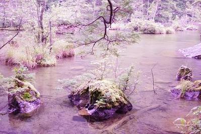 神秘的な水辺