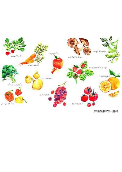果物のフリー素材