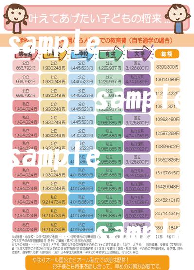 某保険会社の資料を作成しました。