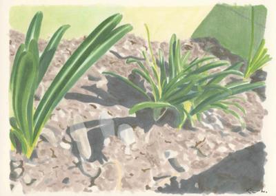 とある父子の日常