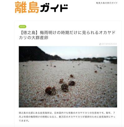 離島ガイド「徳之島」カテゴリーを担当