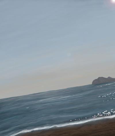 海
