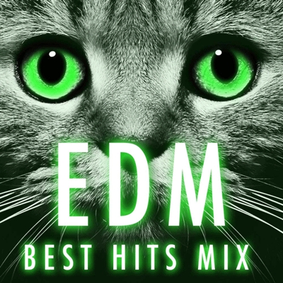 EDM Best Hits Mixデジタルジャケット